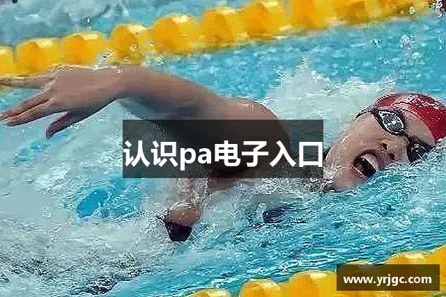 认识pa电子入口